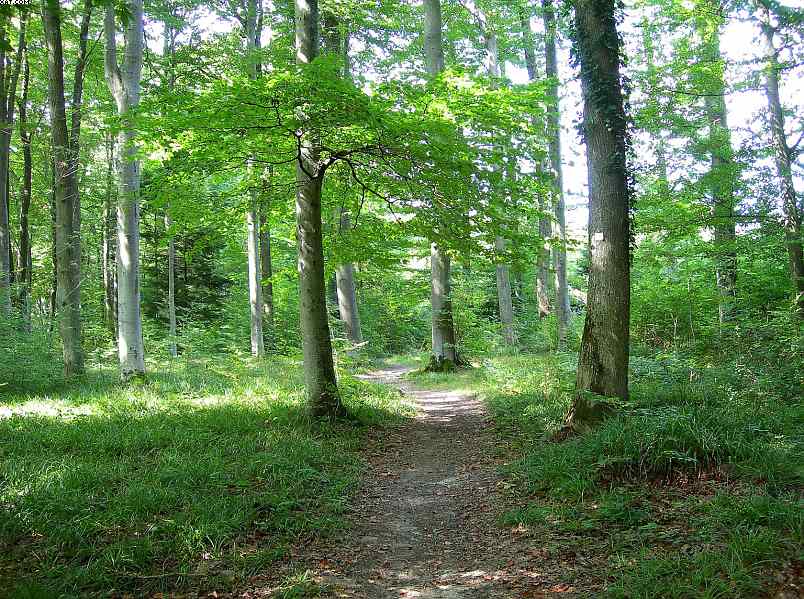 Blauen  ( CH )   9 Settembre 2005